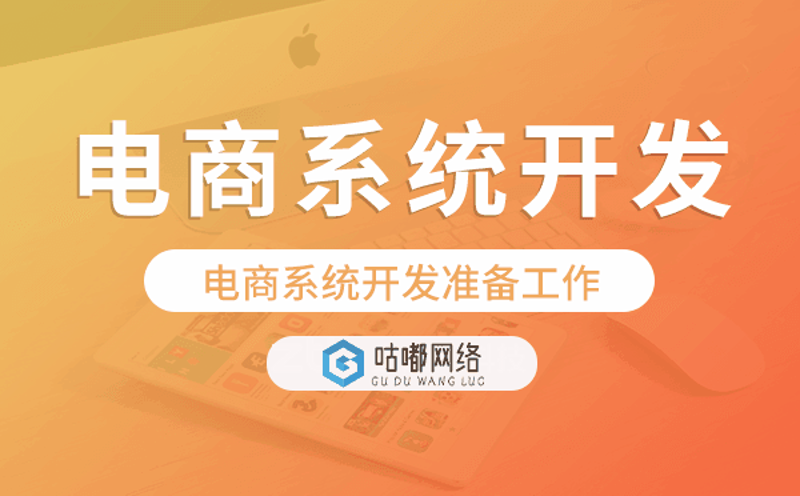 电商网站开发
